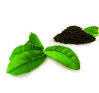 0674_2 Herbal & Teas Perla Negra