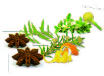 0676_2 Herbal & Teas Hierbas de Ibiza