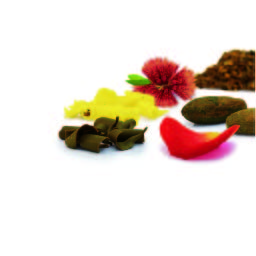 0681_2 Herbal & Teas Sueños de Chocolate