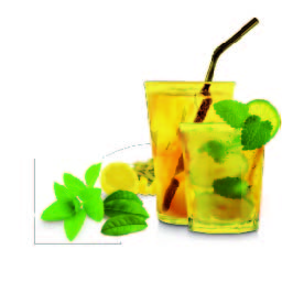0685_2 Herbal & Teas Mojito Iced