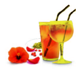 0687_2 Herbal & Teas Red Temptation