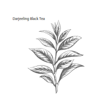 0750_2 HERBAL & TEAS ORGÁNICO TÉ NEGRO DARJEELING