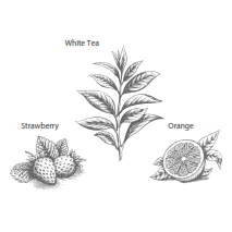 0752_2 HERBAL & TEAS ORGÁNICO TÉ BLANCO, FRESA Y NARANJA