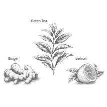 0754_2 HERBAL & TEAS ORGÁNICO TÉ VERDE, JENGIBRE Y LIMÓN