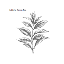 0755_2 HERBAL & TEAS ORGÁNICO KUKICHA – TÉ VERDE
