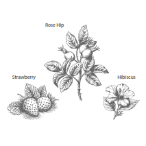 0759_2 HERBAL & TEAS ORGÁNICO FRUTAS DEL BOSQUE FRESA – HIBISCO – ESCARAMUJO